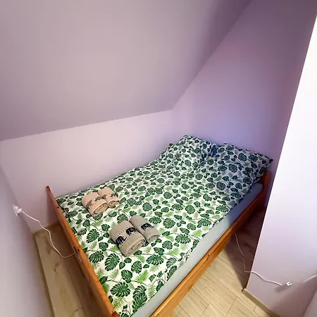 Enklawa Pana Pszczoly Casa vacanze *