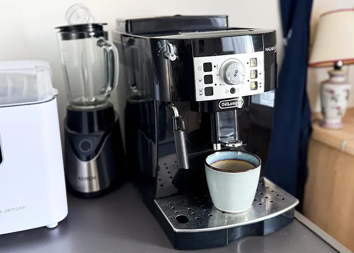 Tatil Evi Enklawa Pana Pszczoly