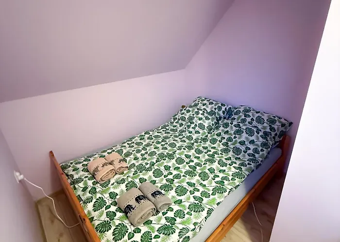 Enklawa Pana Pszczoly Tatil Evi *